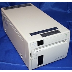Mitsubishi Printer P66E